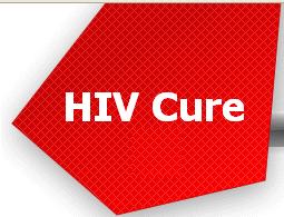HIV eradication